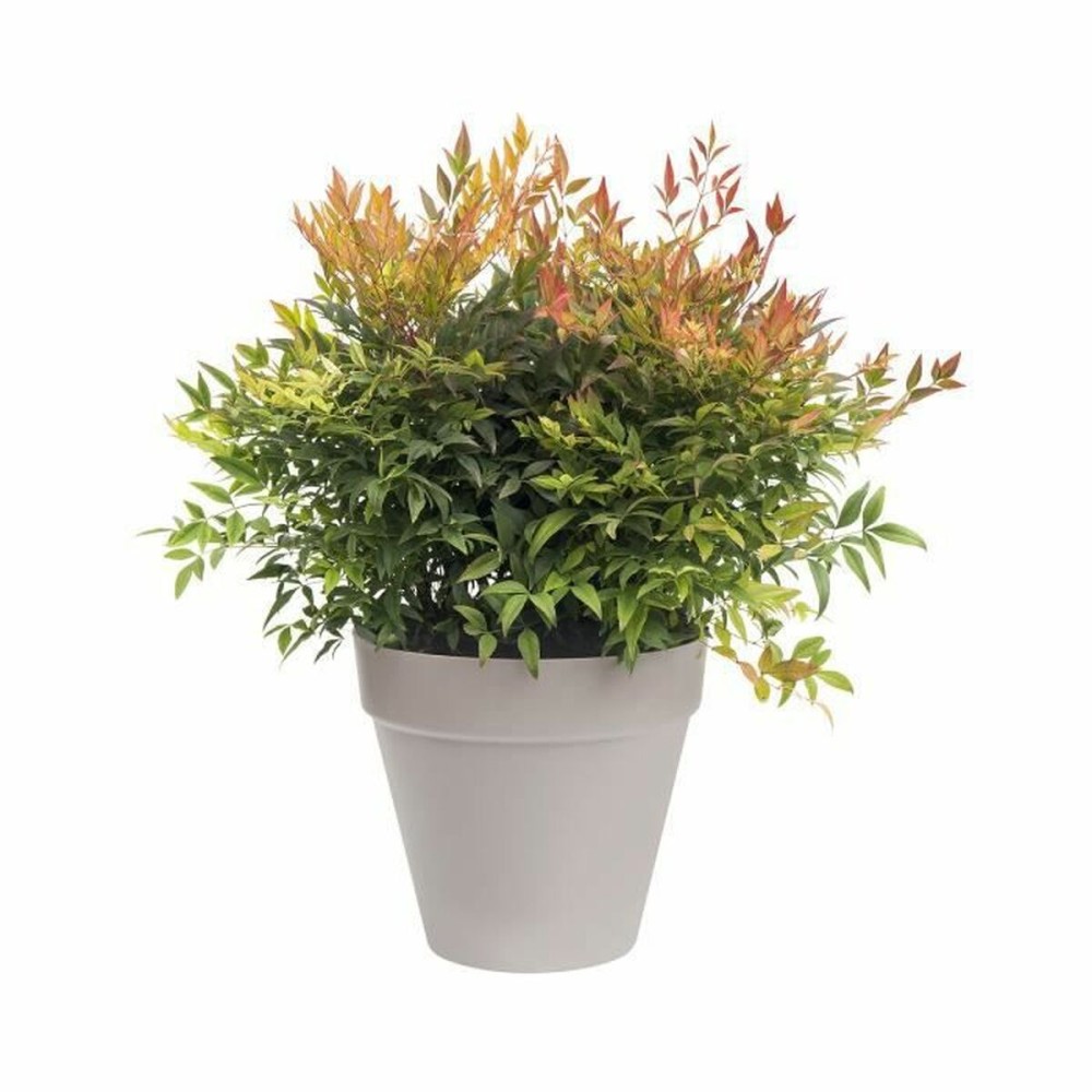 Pot Elho Ronde Gris foncé Ø 30 cm