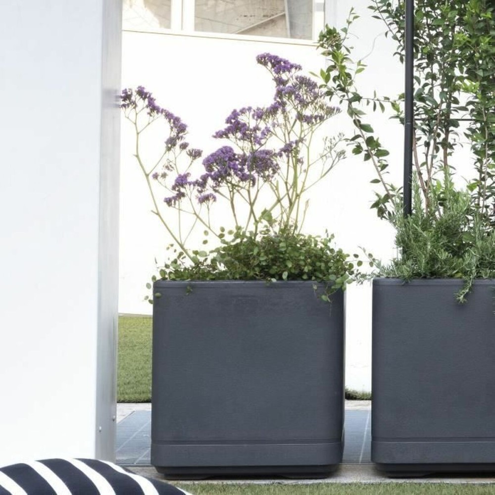 Pot Deroma Anthracite 38 x 38 x 39 cm Plastique Carré Seau 38 cm