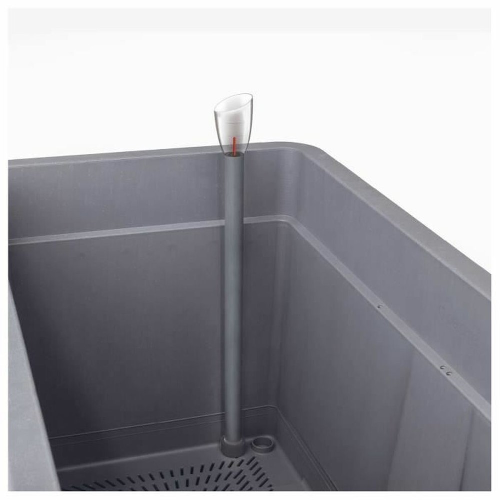 Pot Deroma Anthracite 38 x 38 x 39 cm Plastique Carré Seau 38 cm