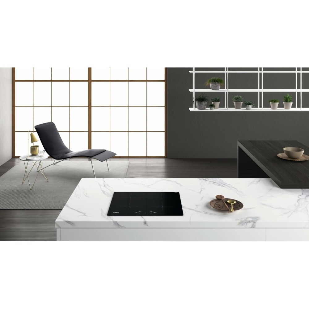 Induction Hot Plate Whirlpool Corporation
