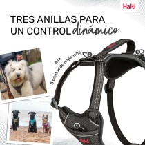 Hundegeschirr Company of Animals Grau XL 50-78 cm