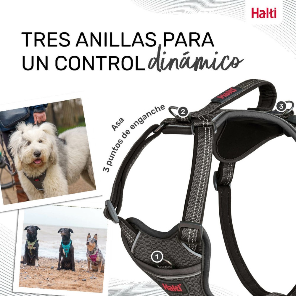 Hundegeschirr Company of Animals Grau XL 50-78 cm
