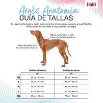 Hundegeschirr Company of Animals Grau XL 50-78 cm