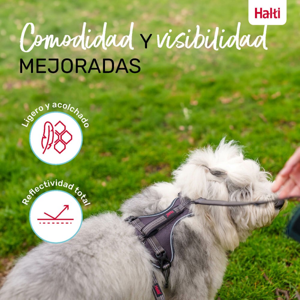 Hundegeschirr Company of Animals Grau XL 50-78 cm