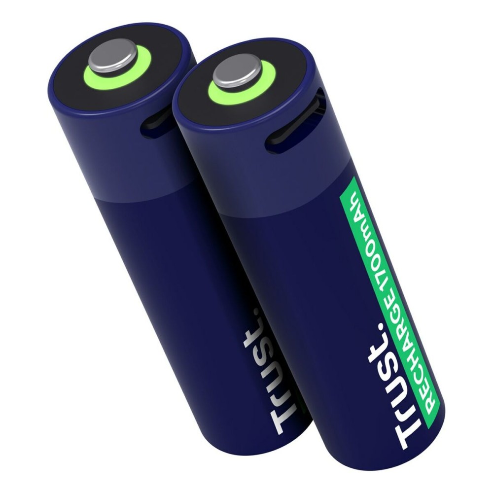 Batteries Trust 25584 AA 3,7 V (2 Unités)