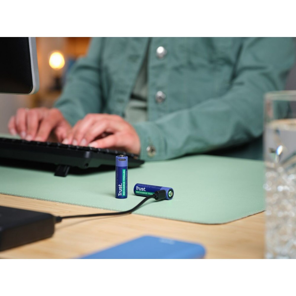 Batteries Trust 25584 AA 3,7 V (2 Unités)