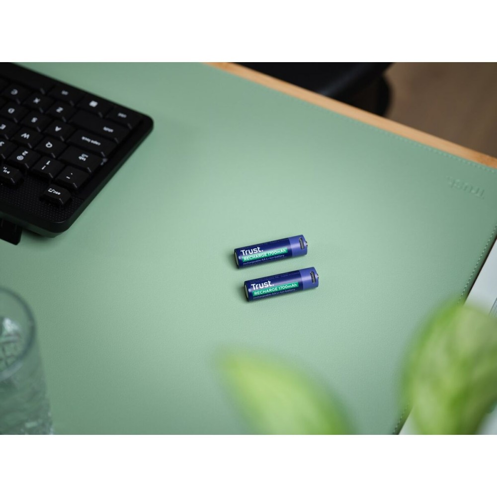 Batteries Trust 25584 AA 3,7 V (2 Unités)