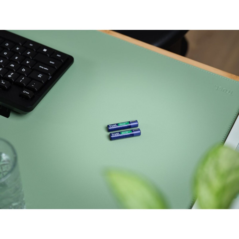 Batterien Trust 25585 500 mAh AAA 3,7 V (2 Stück)