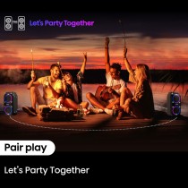 Haut-parleurs bluetooth portables Hisense PR160 Noir
