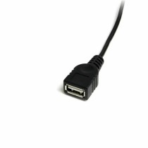 Câble USB A vers USB B Startech USBMUSBFM1 