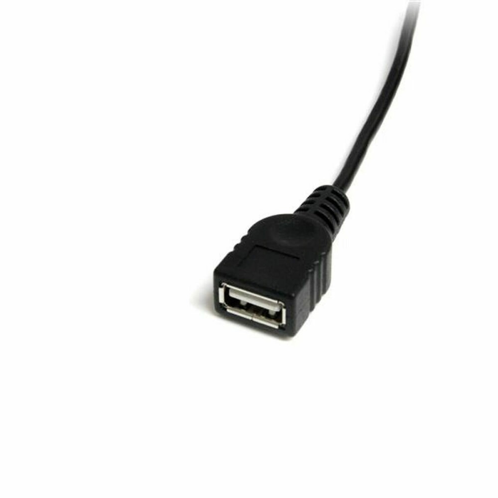 Câble USB A vers USB B Startech USBMUSBFM1 