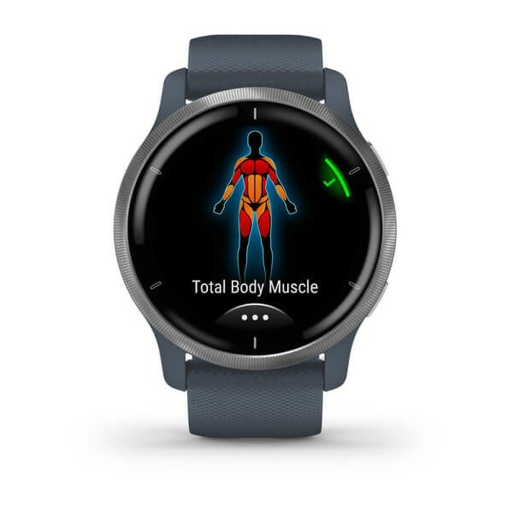 Smartwatch GARMIN 010-02430-10 Blau Silberfarben