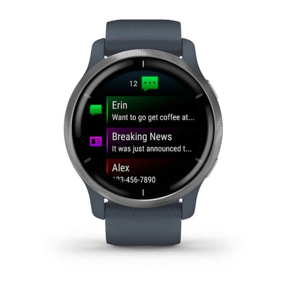 Montre intelligente GARMIN 010-02430-10 Bleu Argenté
