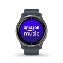 Montre intelligente GARMIN 010-02430-10 Bleu Argenté