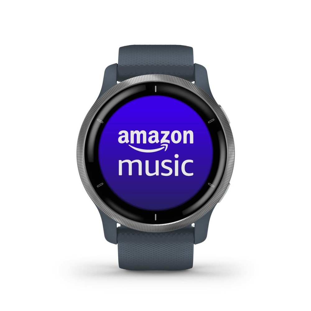 Montre intelligente GARMIN 010-02430-10 Bleu Argenté