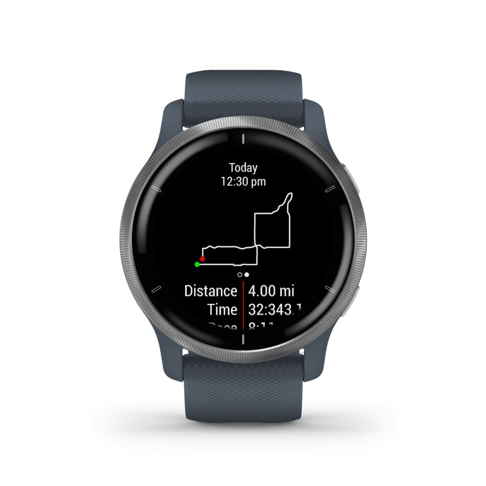 Montre intelligente GARMIN 010-02430-10 Bleu Argenté
