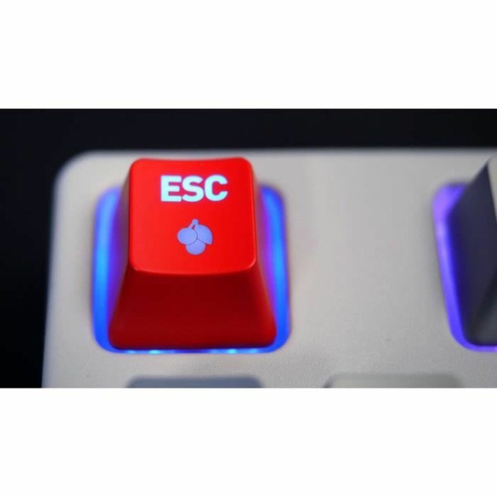 Tastatur mit Maus Cherry