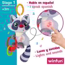 Plüschtier mit integrierter Rassel Winfun Waschbär 14,5 x 20 x 9,5 cm (6 Stück)