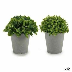 Plante décorative Plastique 13 x 17 x 13 cm (12 Unités)