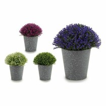 Plante décorative Ibergarden A18124-91 Plastique 14 x 15 x 14 cm (12 Unités)