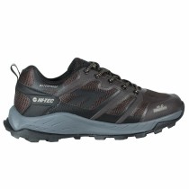 Chaussures de Running pour Adultes Hi-Tec Toubkal Low Marron