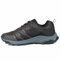 Laufschuhe für Erwachsene Hi-Tec Toubkal Low Braun