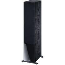 Haut-parleur Magnat Signature 507