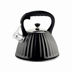 Wasserkocher Promis TMC25 Schwarz Stahl 3 L