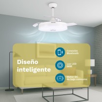 Fan Wall Grunkel