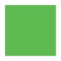 Colorant liquide super concentré Bruguer 5056654 Vert 50 ml