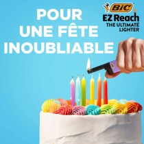 Briquet Bic
