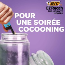 Briquet Bic