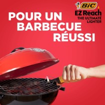 Briquet Bic