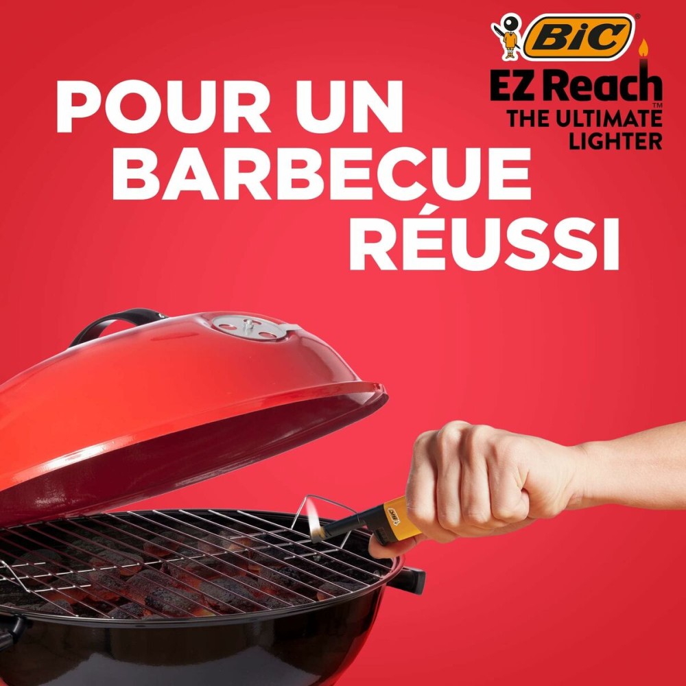 Briquet Bic