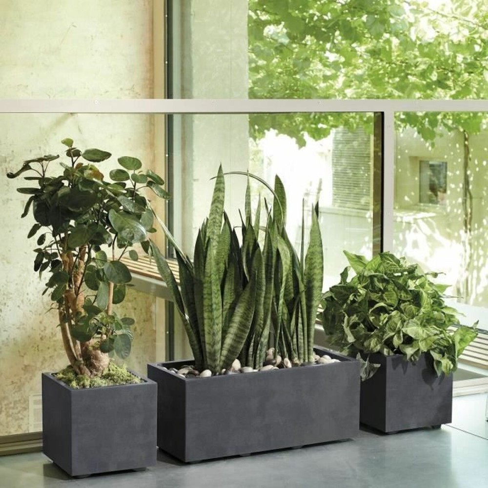 Plant pot Deroma Anthracite 25 cm Plastic Squared Bucket Ø 25 cm