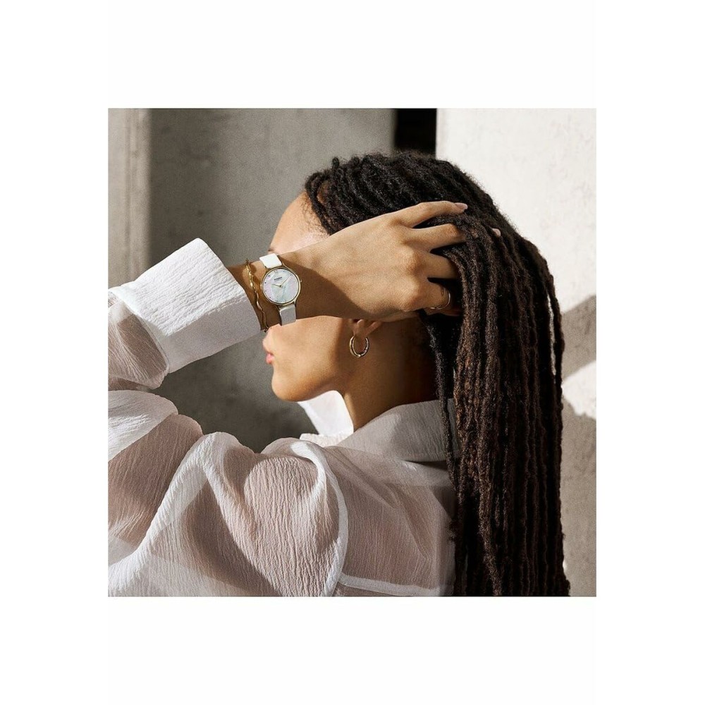 Montre Femme Skagen SKW3138
