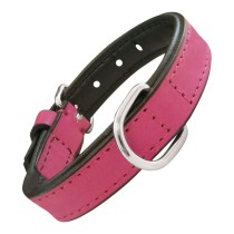 Collier pour Chien Gloria Rembourré Fuchsia (35 x 1,5 cm)