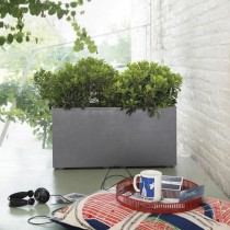 Plant pot Deroma