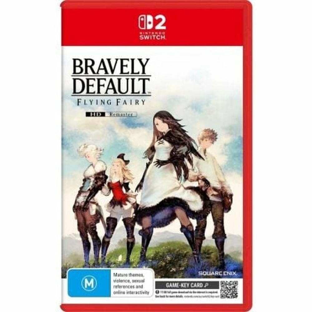 Console de Jeu Portable Nintendo BRA D FLY FA HD RE