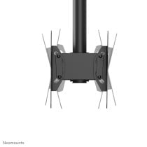 Bildschirm-Träger für den Tisch Neomounts CL35-340BL22 42" 23"-42" 43"