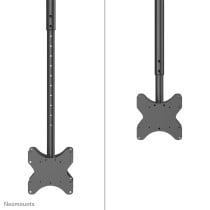 Bildschirm-Träger für den Tisch Neomounts CL35-340BL22 42" 23"-42" 43"