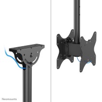 Bildschirm-Träger für den Tisch Neomounts CL35-340BL22 42" 23"-42" 43"