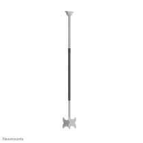Bildschirm-Träger für den Tisch Neomounts CL35-340BL22 42" 23"-42" 43"