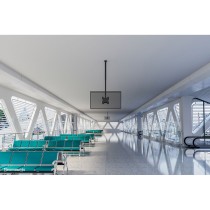 Bildschirm-Träger für den Tisch Neomounts CL35-340BL22 42" 23"-42" 43"