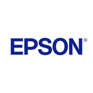 Etiquettes pour Imprimante Epson C53S659001 Noir