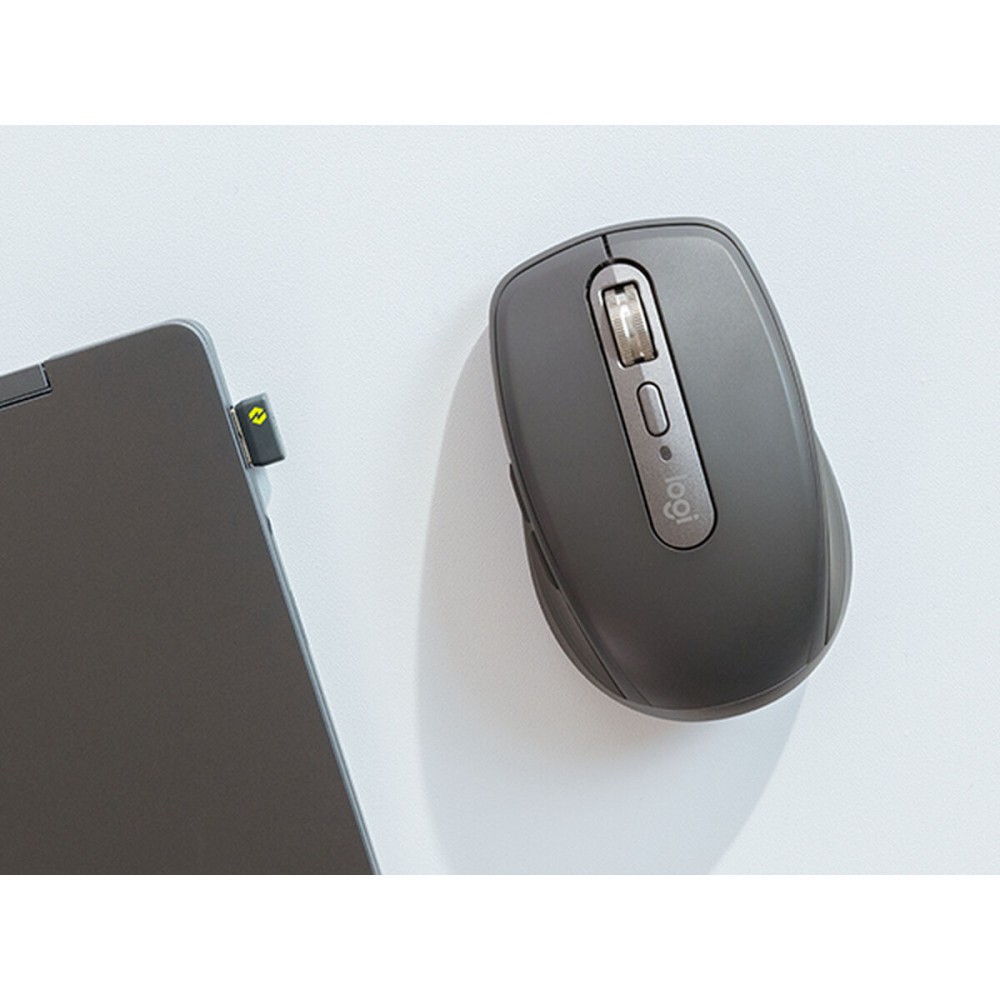 Mouse Logitech 910-006959 8000 dpi Grau