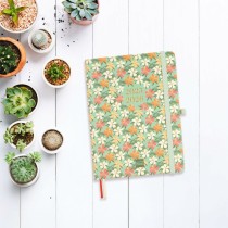 Agenda Finocam