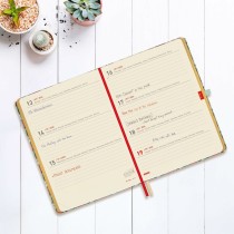 Agenda Finocam