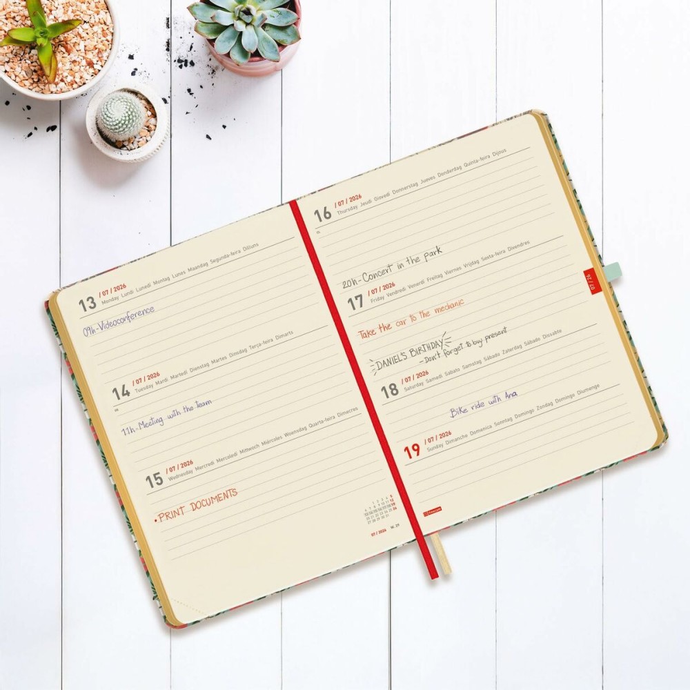 Agenda Finocam