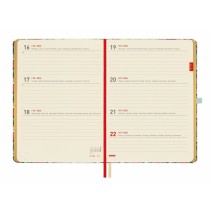 Agenda Finocam